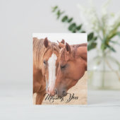 Pferde, die in einer Weide nass werden Postkarte (Stehend Vorderseite)