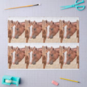 Pferde, die in einer Weide nass werden Seidenpapier (Basteln)