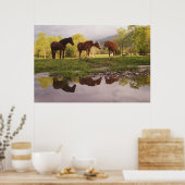 Pferde, die in kleinen Bach reflektiert werden, Hö Poster (Küche)