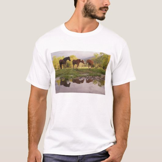 Pferde, die in kleinen Bach reflektiert werden, Hö T-Shirt (Vorderseite)