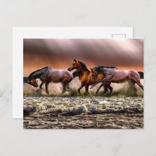 Pferde, die in Ozeanwellen malen Postkarte (Vorne/Hinten)