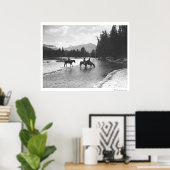 Pferde, die von einem Fluss trinken und einen Flus Poster (Heimbüro)