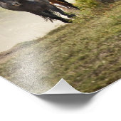 Pferde, die während der Roundup einen kleinen Hüge Fotodruck (Ecke)