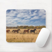 Pferde direkt vor dem Grand Teton Nationalpark Mousepad (Mit Mouse)