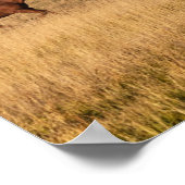 Pferde direkt vor dem Grand Teton Nationalpark Poster (Ecke)