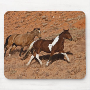 Pferde durch das große Horn MT der Muschel Wyoming Mousepad