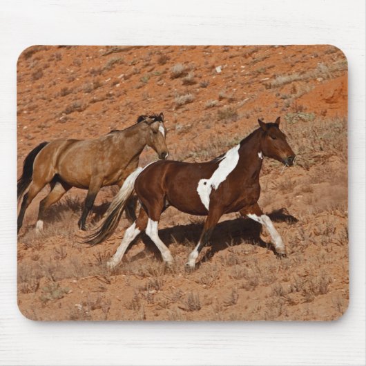 Pferde durch das große Horn MT der Muschel Wyoming Mousepad (Vorne)