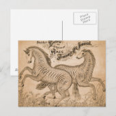 Pferde durch Schönschrift Postkarte (Vorne/Hinten)