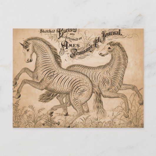Pferde durch Schönschrift Postkarte (Vorderseite)