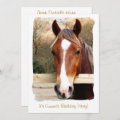 PFERDE EINLADUNG (Vorne/Hinten)