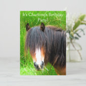 PFERDE EINLADUNG (Stehend Vorderseite)