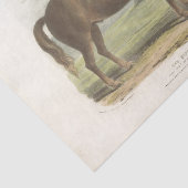 Pferde Ephemera Decoupage Vintag Suffolk Seidenpapier (Ausschnitt)