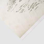 Pferde Ephemera Decoupage Vintager Französischer J Seidenpapier (Ausschnitt)