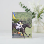 Pferde Eventing Postcard Postkarte (Stehend Vorderseite)