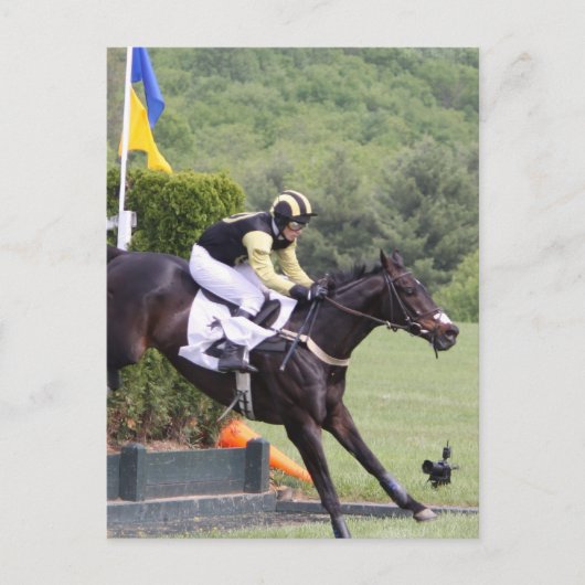 Pferde Eventing Postcard Postkarte (Vorderseite)