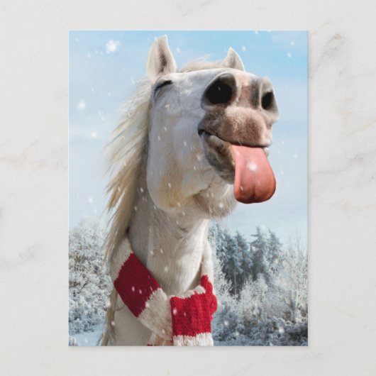Pferde fangen Schneeflocken Einladungspostkarte (Vorderseite)
