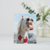 Pferde fangen Schneeflocken Einladungspostkarte (Stehend Vorderseite)