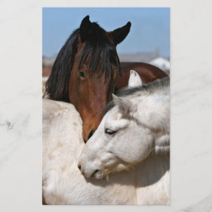 Pferde Farm Ranch Reitsport Western Sport Liebe Flyer