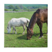 Pferde Fliese (Vorderseite)