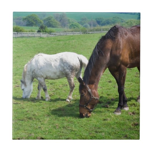 Pferde Fliese (Vorderseite)