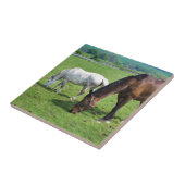 Pferde Fliese (Seite)