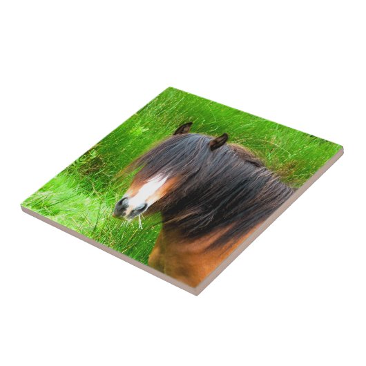 PFERDE FLIESE (Seite)