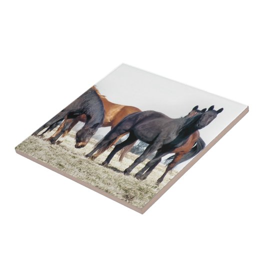 PFERDE FLIESE (Seite)