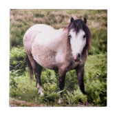 PFERDE FLIESE (Vorderseite)