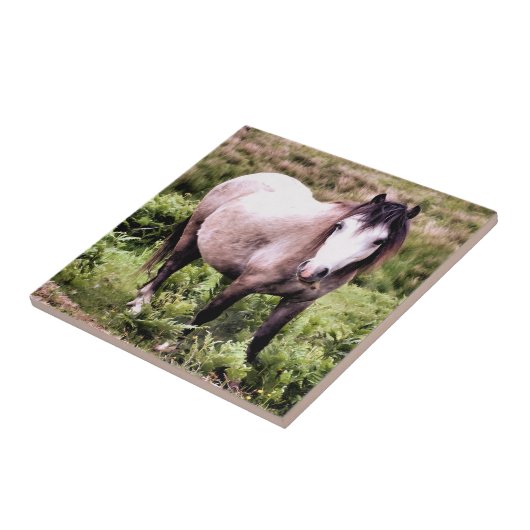 PFERDE FLIESE (Seite)