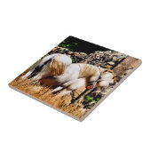 PFERDE FLIESE (Seite)