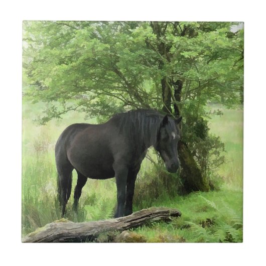 PFERDE FLIESE (Vorderseite)