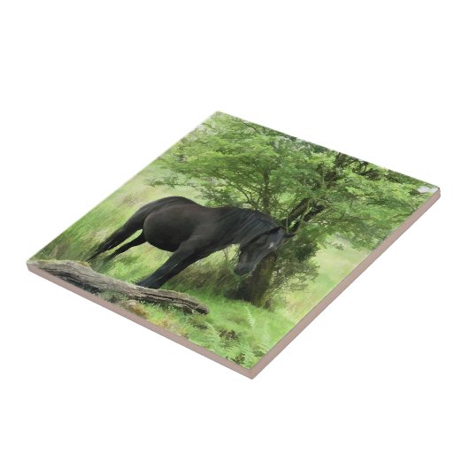 PFERDE FLIESE (Seite)