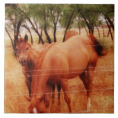 Pferde Fliese (Vorderseite)