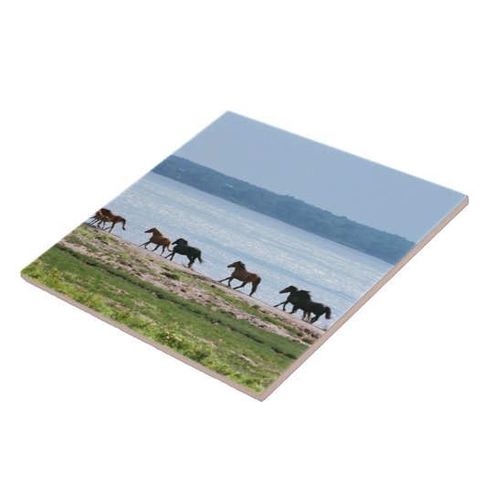 Pferde Fliese (Seite)