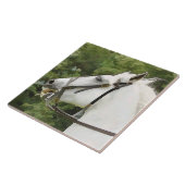 PFERDE FLIESE (Seite)