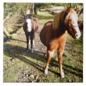 PFERDE FLIESE (Vorderseite)