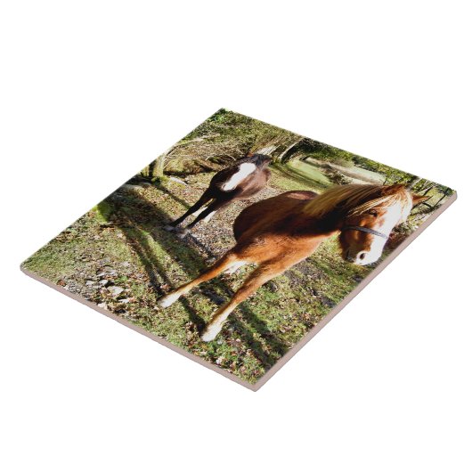 PFERDE FLIESE (Seite)