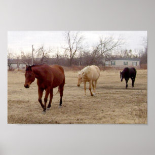 Pferde folgen dem Leader Poster