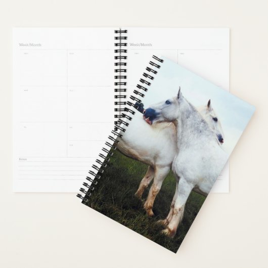 Pferde Foto Pferdeperschen Planer (Anzeige)