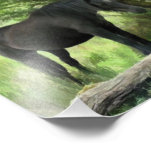 PFERDE FOTODRUCK (Ecke)