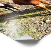 PFERDE FOTODRUCK (Ecke)