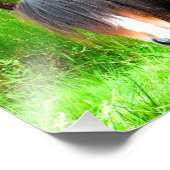 PFERDE FOTODRUCK (Ecke)