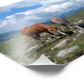 Pferde Fotodruck (Ecke)