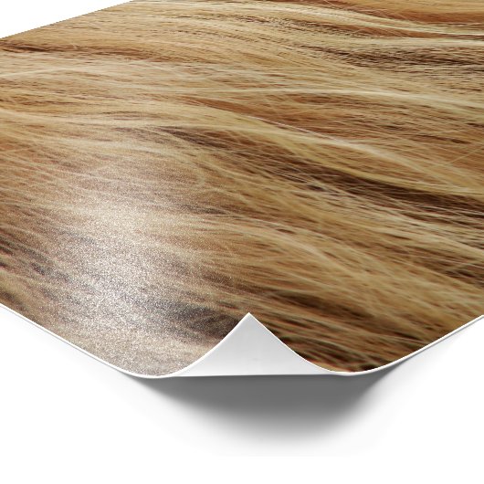 Pferde Fotodruck (Ecke)