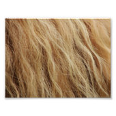 Pferde Fotodruck (Vorne)