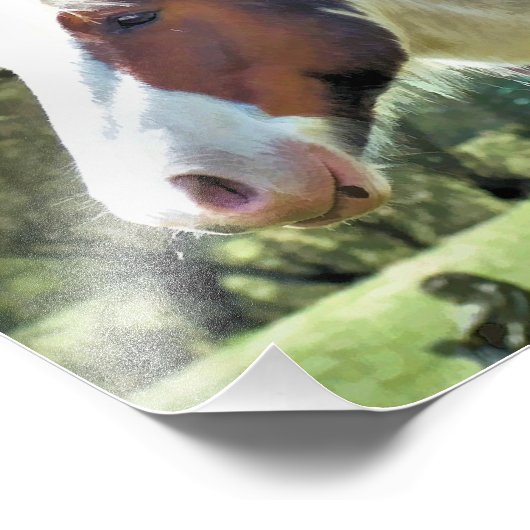 PFERDE FOTODRUCK (Ecke)