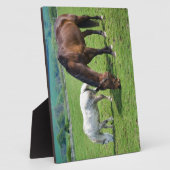 Pferde Fotoplatte (Seite)