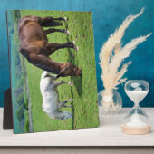 Pferde Fotoplatte (Seite)