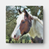 PFERDE FOTOPLATTE (Vorderseite)