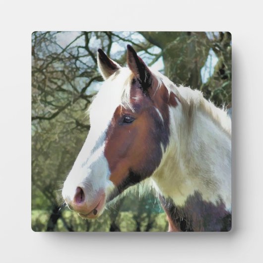 PFERDE FOTOPLATTE (Vorderseite)